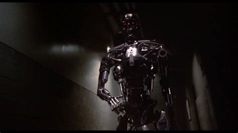 Image result for Terminator View