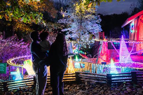 Celebrating a Decade of Holiday LIGHTS at Cheekwood - Cheekwood