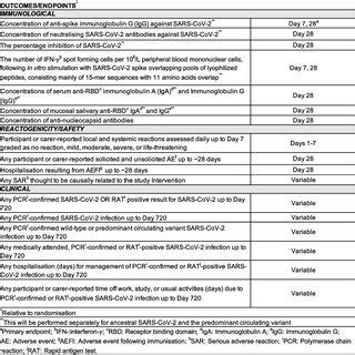 Program PicoBoo 的图像结果