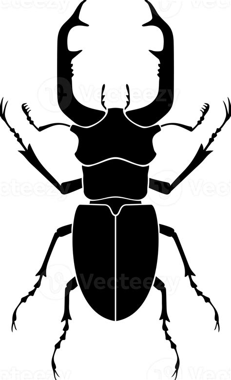 Stag Beetle Bug Black and White 12227750 PNG