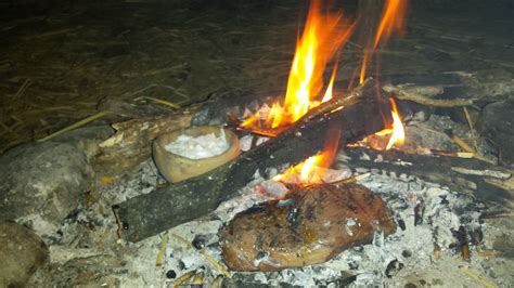 Primitive Cook 的图像结果