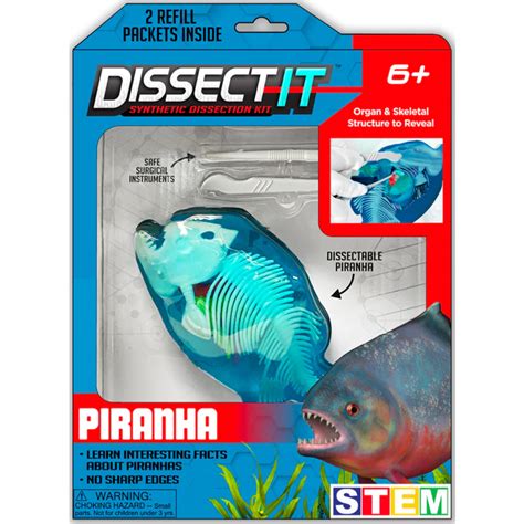 Image result for Dissect