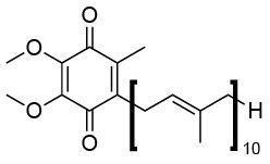Coenzyme Q10 Explained: Skincare Benefits & How It Boosts Skin Energy