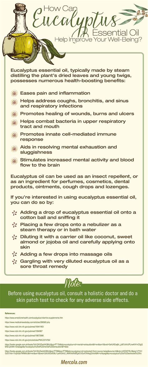 Herbal Oil: Eucalyptus Oil Benefits and Uses