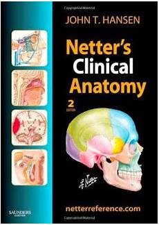 netter medicina interna netter booksmedicos part 3 netter medicina interna netter booksmedicos part 3