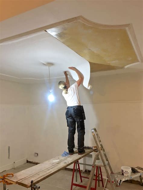 Ceiling Lining Paper 的图像结果