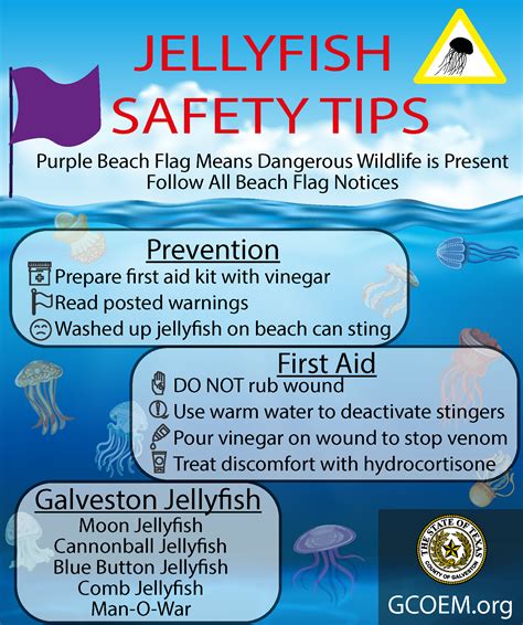 Effective Methods for Preventing and Treating Jellyfish Stings in Water Activities - Outdoor ...