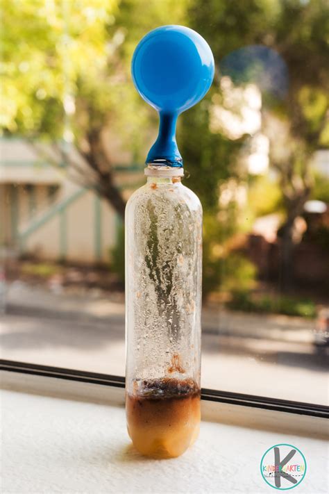 Kindergarten Experiments 的图像结果