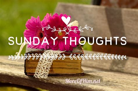 The Calvin Coolidge Project on Twitter: "I am going to try something ...