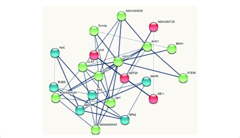 String Spring 的图像结果