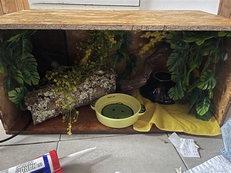 Image result for Pide Ball Python Enclosure