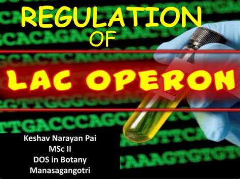 Image result for Positive Und Negative Regulation Lac Operon Chart
