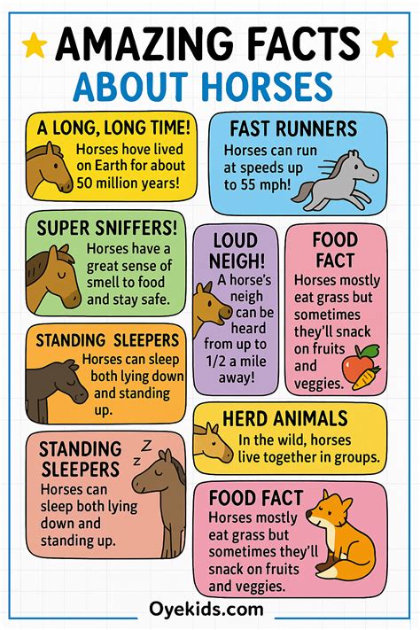 Horse Facts Fun