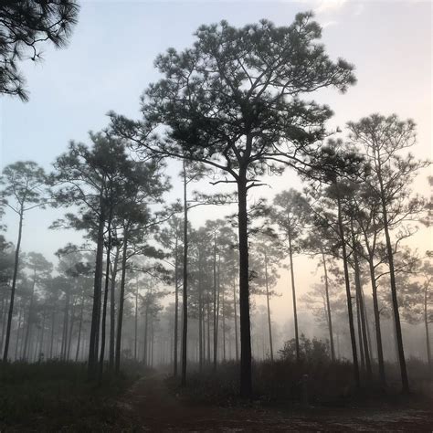 ECON RIVER WILDERNESS AREA - All You Need to Know BEFORE You Go 2026 ...