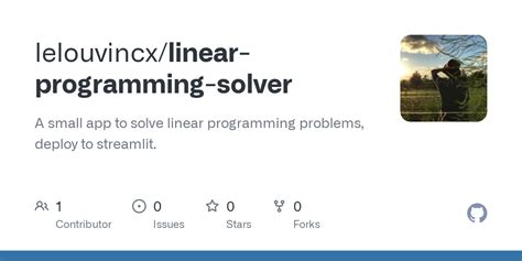 Linear Programming Solver 的图像结果