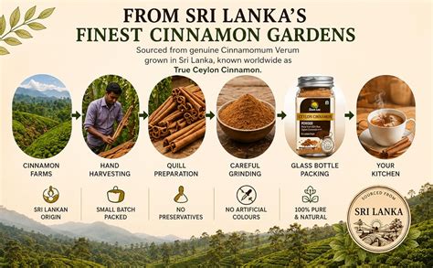 Dawn Lee Ceylon Cinnamon Powder 50g – Pure & Natural | Dalchini Powder ...