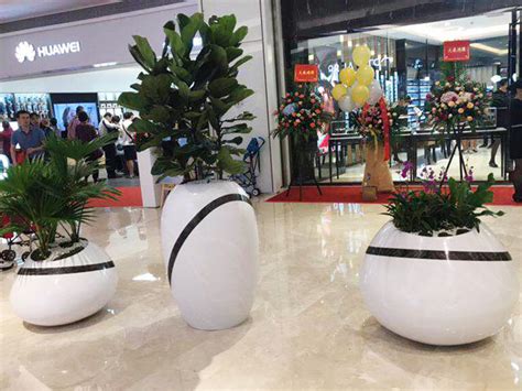 玻璃钢定制圆形种植花盆 - 深圳市凡贝尔玻璃钢工艺有限公司