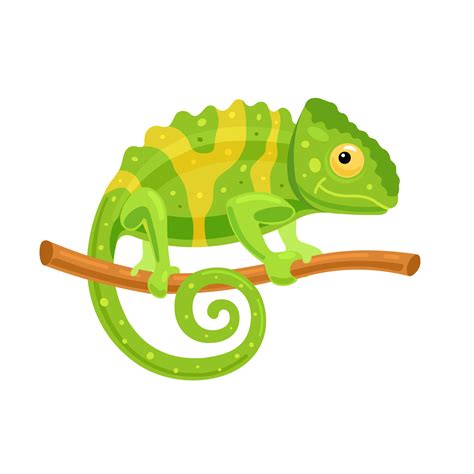 Chameleon Vector Art, Icons, and Graphics for Free Download