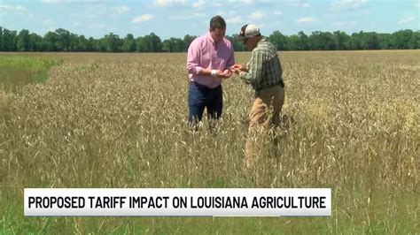 DOTD secretary gives update on I-10 Calcasieu River Bridge