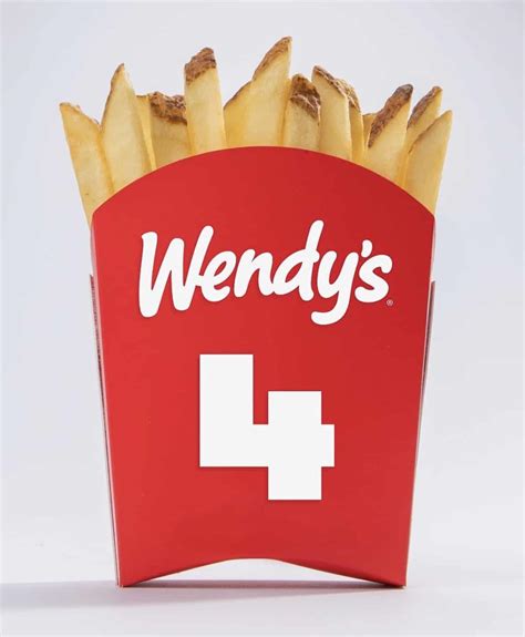 Are Wendy's Fries Vegan