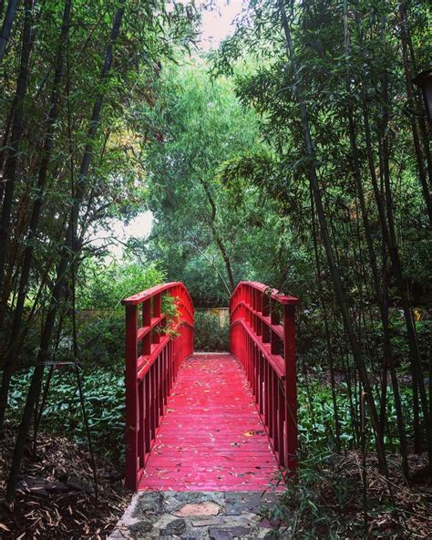Truc Lam Meditation Center - 10405 Brighton Ln, Houston, TX 77031 ...