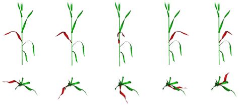 3D Reconstruction of Wheat Plants by Integrating Point Cloud Data and ...