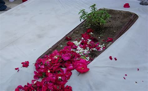 The Dilettante Photographer: Aurangzeb's tomb, Khuldabad