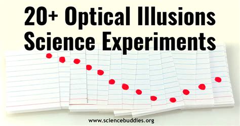 Image result for Science Eye Projects Tutorial