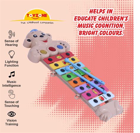 Monkey Xylophone | Baby Musical Toy | Musical Instrument for Kids | Ki ...
