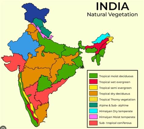Map work: A. Locate the types of vegetation on a physical map of India ...