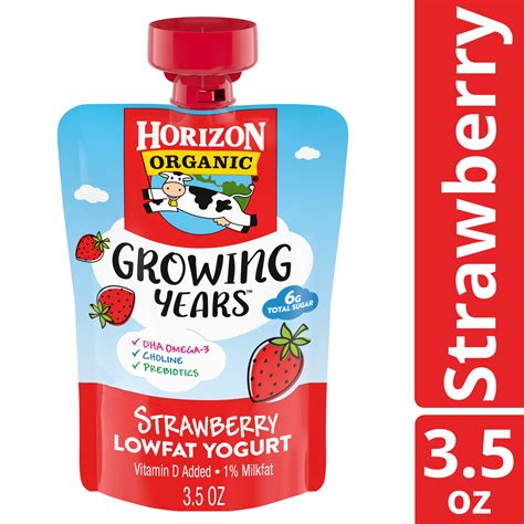 Horizon Organic Growing Years Blueberry Low Fat Yogurt Pouch with DHA ...