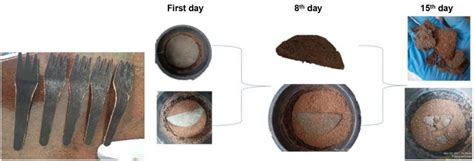 Dr.Anjineyulu Kothakota | CSIR - National Institute For ...