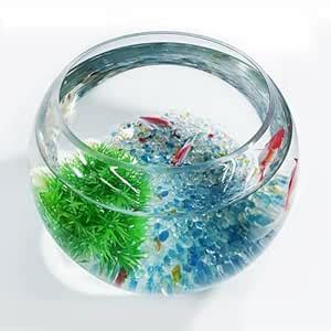 Mini Aquarium Starter Kit : Amazon.in: Pet Supplies