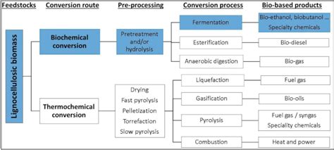 Renewable Biomass Utilization: A Way Forward to Establish Sustainable ...