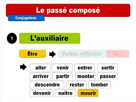 فيديو le passé composé شرح زمن الماضي المركب | Aya Mahmoud