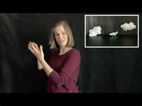 Semantic Classifiers ASL Examples 的图像结果