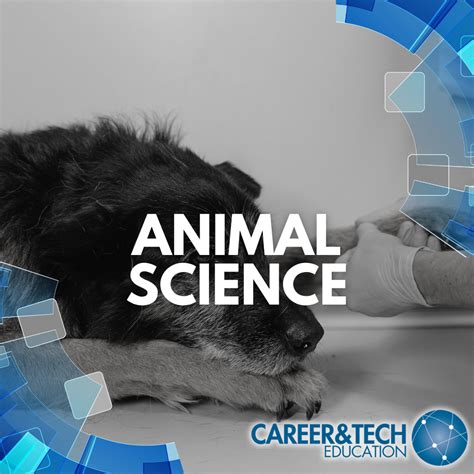 Animal Science Jobs Indeed at Pamela Walsh blog