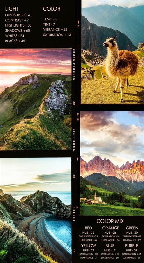 Vivid Mobile Lightroom Presets: Free Cross-Process Actions | Best ...
