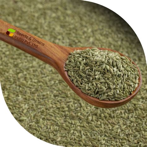 Spices