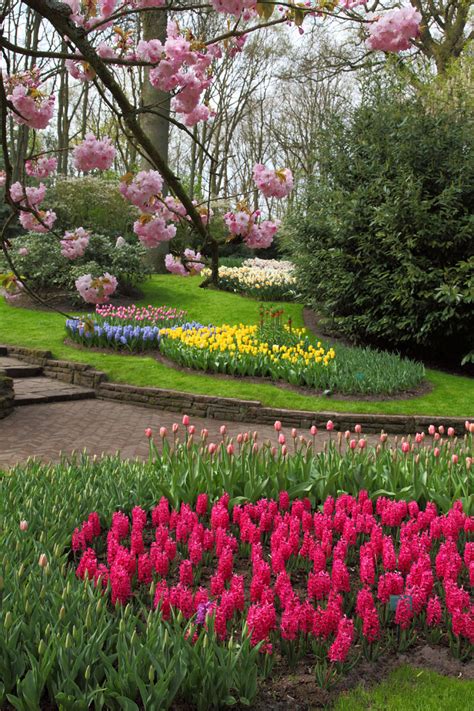 Image result for Spring Flower Garden
