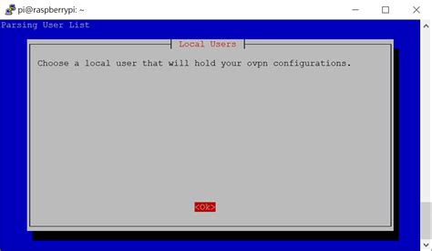 Raspberry Pi OpenVPN Client 的图像结果