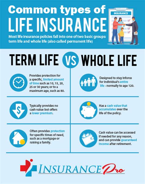 Term Life Insurance Definition 的图像结果