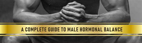 The Testosterone Advantage: A Complete Guide to Male Hormonal Balance ...