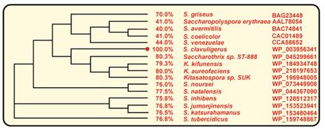 Comparative Molecular Mechanisms of Biosynthesis of Naringenin and ...