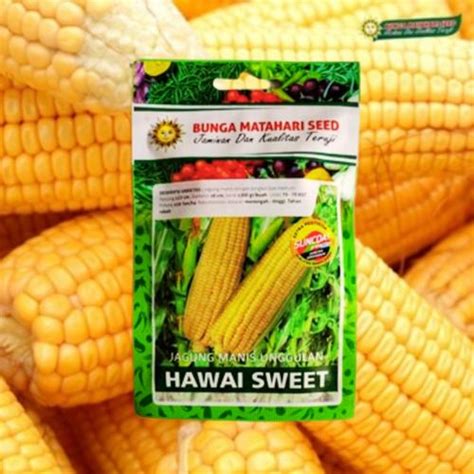 Jual Jagung manis hawai sweet 125 butir kemasan kecil - 1 produk - Kota ...