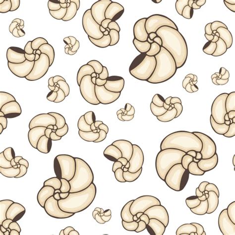 Shell Pattern Vector 的图像结果