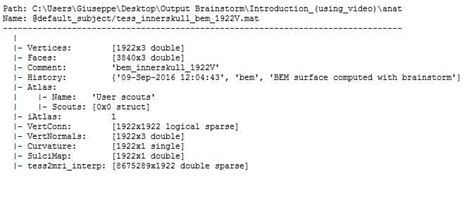 Video Write Bem Function MATLAB 的图像结果