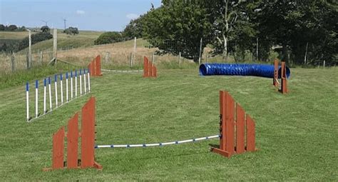 DARVEL DOG RUN (2025) All You Need to Know BEFORE You Go (with Photos ...