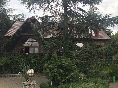 LESNOY HOTEL (Alushta) - Hotel Reviews & Photos - Tripadvisor