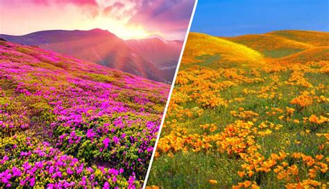 10 Beautiful Places in India That are Alternate for International ...